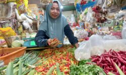 Ini Tiga Langkah TPID Balikpapan Tangani Inflasi, Cabai Masih jadi Sumber Masalah