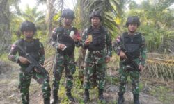 Personil TNI AD di Sebatik Temukan Sabu 22,65 Gram Diselipkan di Pohon Sawit