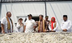 KKP Perkuat Hilirisasi Teri di Lampung