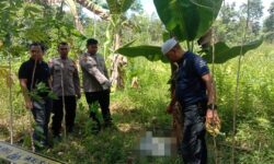 Sempat Dikerumuni Semut, Ramai Minat Adopsi Bayi Cantik Dibuang Ibunya di Samarinda