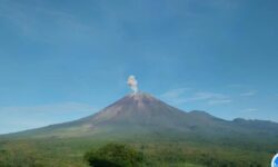 Gunung Semeru Kembali Erupsi Setinggi 800 Meter