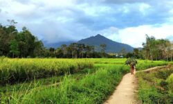 Desa Wisata Buat Topang Pembangunan di IKN