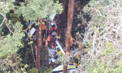 Tim SAR Temukan Lambaian Tangan Diduga Korban Pesawat Smart Aviation Jatuh di Hutan Kaltara