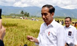 Tiga Gol Timnas atas Vietnam, Jokowi: Semua Rakyat Senang