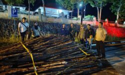 Polres Nunukan Tangkap 3 Warga Tarakan Pencuri 200 Batang Kayu Bakau di Hutan Sei Menggaris