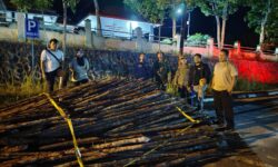Polres Nunukan Tangkap 3 Warga Tarakan Pencuri 200 Batang Kayu Bakau di Hutan Sei Menggaris