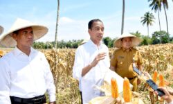Bicara di Boalemo, Jokowi Dorong Peningkatan Produksi dan Kesejahteraan Petani