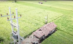 Program Electrifying Agriculture PLN Menghemat Biaya Operasional Petani di Ponorogo