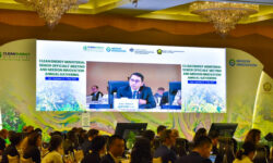 Indonesia Tekankan Penetrasi Akses Energi Bersih di Forum Global