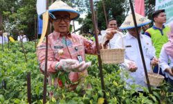 Akmal Malik: Tidak Hanya Diajari sebagai Petani, Tapi Juga Berjiwa Entrepreneur