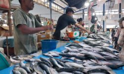 Sebagian Besar UMKM di Kabupaten Nunukan Belum Memiliki NIB