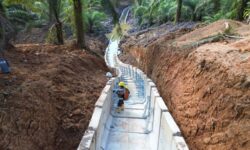 Pembangunan IKN Menuju Forest City, PLN Bereskan 3 Infrastruktur Kelistrikan Tegangan Tinggi
