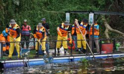 Peringati Hari Lingkungan Hidup Sedunia, PLN Gelar Aksi Bersih dan Olah Sampah