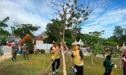 Aksi Tanam Pohon Peserta Rakernas Apeksi XVII 2024 Hijaukan Balikpapan