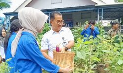 Jumlah Usaha Pertanian di Kaltim Mengalami Penurunan 12,31 Persen dalam 10 Tahun Terakhir