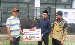 Akmal Malik Sumbang 10 Sapi ke PPU, Balikpapan dan Samarinda Buat Iduladha