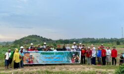 Lebih Bermanfaat, Petani Tanam Jagung Hibrida di Atas Lahan 100 Ha Eks PT Kitadin