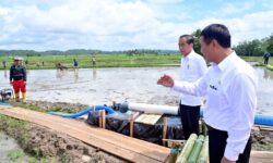 Pemerintah Bantu 300 Pompa Irigasi di Sulawesi Selatan