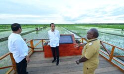 Pertanian Pintar, Pupuk Ditabur Pakai Drone di Areal 40 Ribu Ha Sawah di Merauke