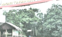 Makan Siang di Kedai Nasi Pak Juned