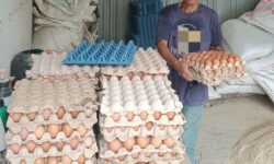 GINI Ratio Kalimantan Utara Terendah Kedua di Level Nasional Setelah Babel