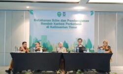 Pembangunan Perkotaan Rendah Karbon Mesti Seimbang dengan Perbaikan Lingkungan