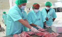 Jepang Hapus Bea Masuk Tuna dari Indonesia