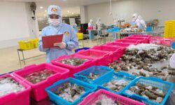 DKP Kaltara Petakan Potensi Hilirasi Produk Perikanan