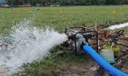 Kementan Buka Hotline Pengaduan Pompa Air Apabila Rusak