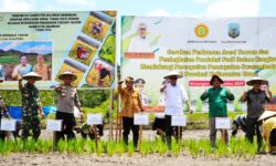 Galakkan Aksi Gerakan Peningkatan Produksi Padi di Kaltara