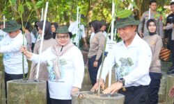 DLH Balikpapan Target Tanam  Mangrove Sepanjang 81 Km di Pesisir Teluk Balikpapan