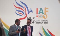 IAF 2024 Hasilkan Investasi Energi Afrika Senilai US$1,5 Miliar