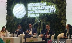 Luhut: Kebijakan Energi Terbarukan Indonesia Tak Serupa dengan Negara Lain