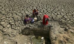Pemanasan Global Dapat Membawa Dampak Desar dan Sistemik Terhadap Perekonomian