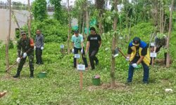 400 Pohon Ditanam di Kawasan Inti Pusat IKN Demi Ketahanan Iklim