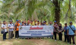 Disbun Kaltim Latih Petani Kendalikan Penyakit Busuk Pangkal Batang Sawit