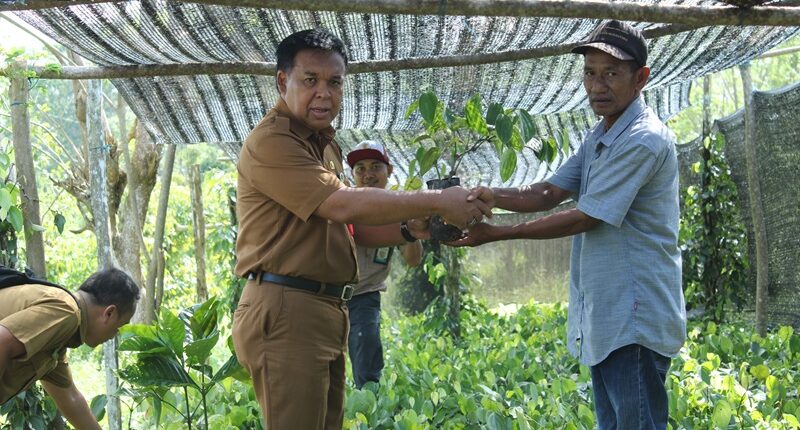 Rasio NTP Kaltim Terus Meningkat Setiap Tahun