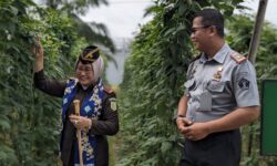Kunjungi Lapas Nunukan, Kajati Kaltara Nilai Pembinaan Warga Sangat Manusiawi