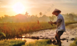Kaltim Perlu Kembangkan Strategi agar Pelaku Usaha Pertanian Memiliki Pendapatan Alternatif
