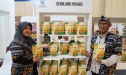 Camilan Yammy Babeh dari Singkong Raih UKM Pangan Award 2024