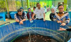 Kolaborasi PDC Kampanyekan Pentingnya Protein Ikan Turunkan Stunting