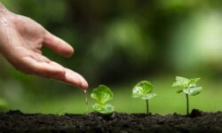 Ini Empat Poin Utama Transformasi Pembangunan SDM untuk Mendukung Investasi Hijau