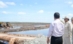 Program Cetak Lahan Baru Harus Cermat, Jangan Sampai Rugi Triliunan