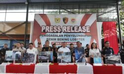 Polri Gagalkan Penyelundupan 151 Ribu Benih Lobster di Perairan Bintan