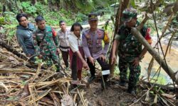 Warga Pulau Sebatik Temukan Peluru Mortir di Hutan Lindung