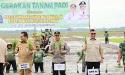 Gugus Tugas Ketahanan Pangan Polri Cetak Tanam Padi Serentak di Sawah 10 Ribu Hektare