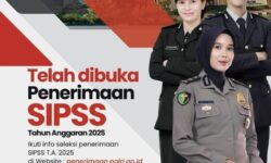 Lowongan Kerja: Rekrutmen SIPSS 2025 Resmi Dibuka