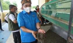 KKP Perkuat Hilirisasi Rumput Laut di Karawang