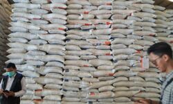 Stok Beras di Gudang Bulog Samarinda Cukup Buat Kebutuhan MBG dan Ramadan