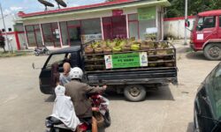 LPG 3 Kg Langka di Samarinda, di Warung Harganya Bisa Tembus Rp 50 Ribu